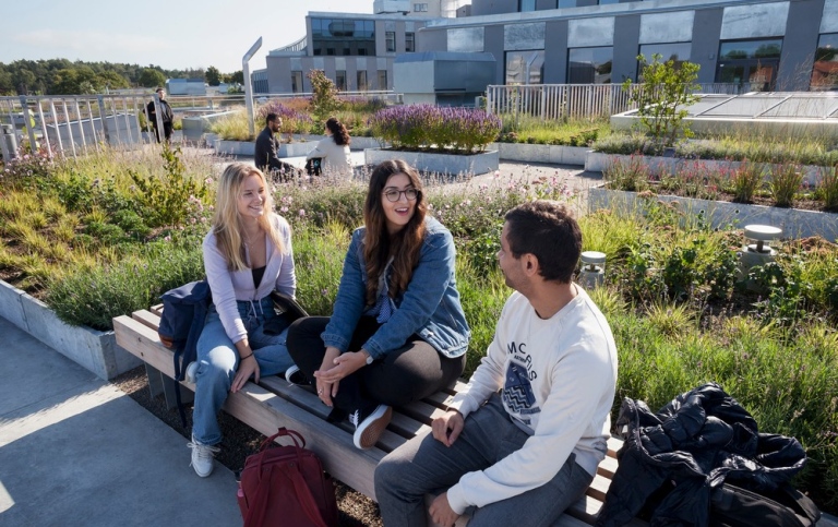Tre studenter på en takterrass på campus Albano.