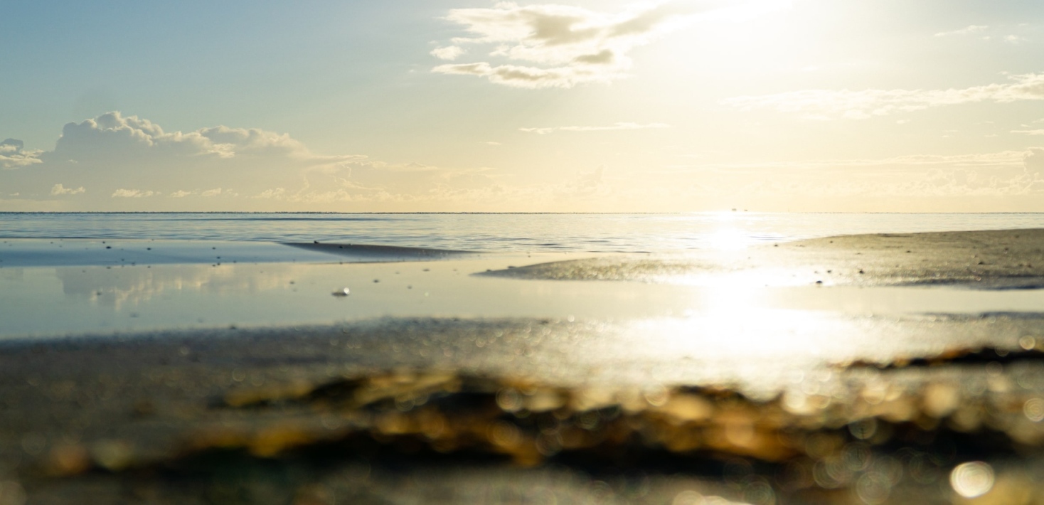 Baltic Sea. Photo: Philipp Deus /Unsplash.