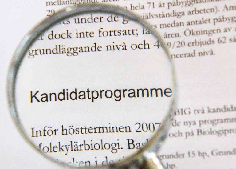 Magnifying glas focused on "Bachelor's programmes"