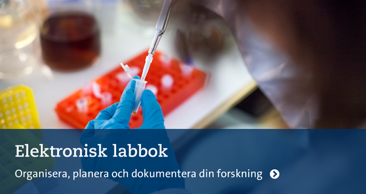 Laboratorium-miljö. 