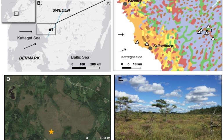 Fig. 1. (A.) Orientation map, (B.) regional map, including the location of the current study site (black dot), (C.) quaternary deposits map, including sample locations (triangles) and Davidsmosse bog (black dot), (D.) satellite image of Davidsmosse, (E.) picture from coring location. Maps based on SGU open database (www.sgu.se), ESRI Grey and Google satellite (2020), compiled and edited in QGIS, ver. 3.10.