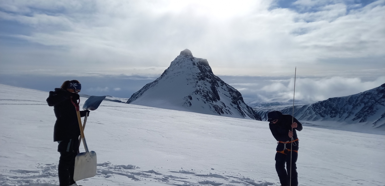 Probing Northern Niche. Photo  Annika Granebeck.