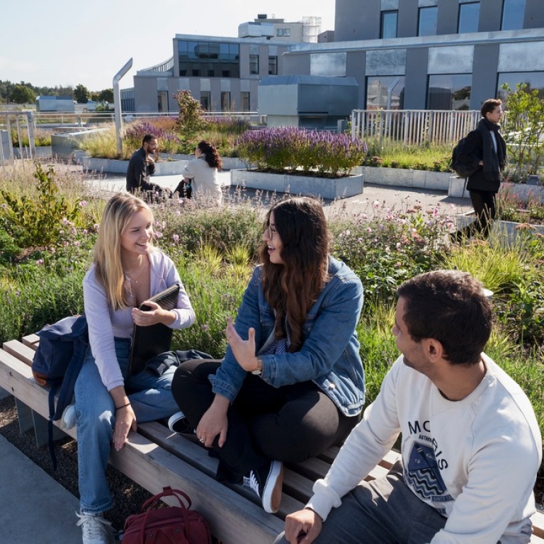 Students in conversation on the terrace in Albano.