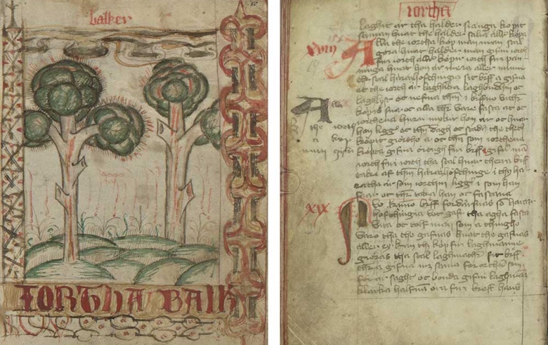 Jordabalken i Magnus Erikssons landslag. Foto: Uppsala universitetsbibliotek (UUB B 68).