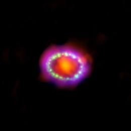 Supernova 1989A