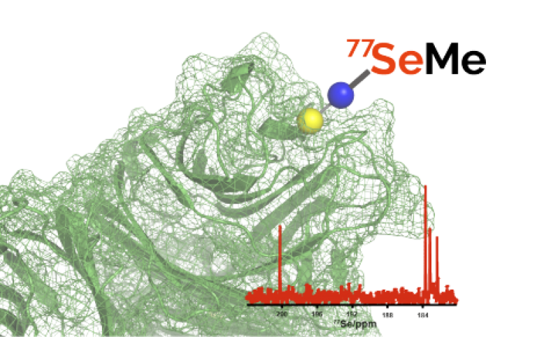GW_group.png