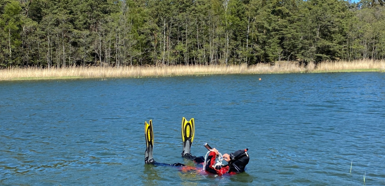 Paus och rengöring under snorkelinventering av en grund vik.