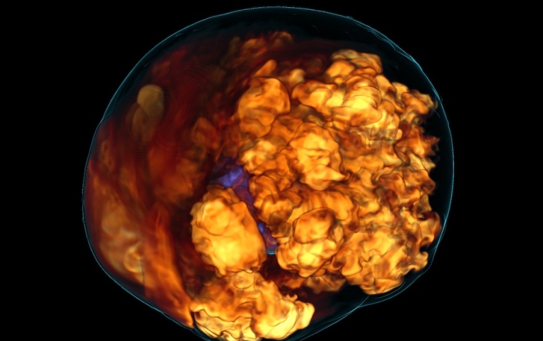 Volume rendering of the stalled accretion shock in a core-collapse supernova.