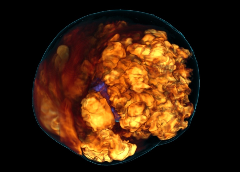 Volume rendering of the stalled accretion shock in a core-collapse supernova.