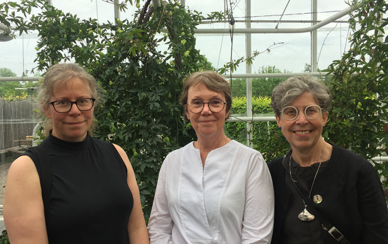 Karin Dirke, Boel Hackman, and Catharina Nolin