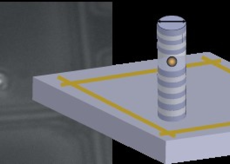 Quantum dot in a broadband pillar microcavity