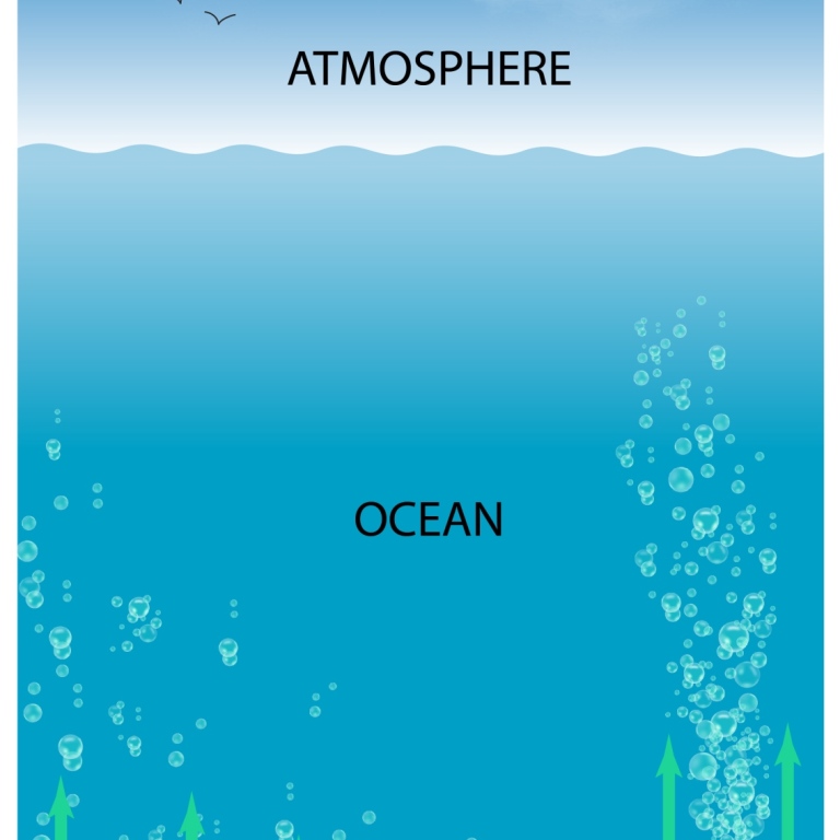 Methane leaks from sea floor
