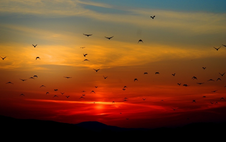 Twilight picture