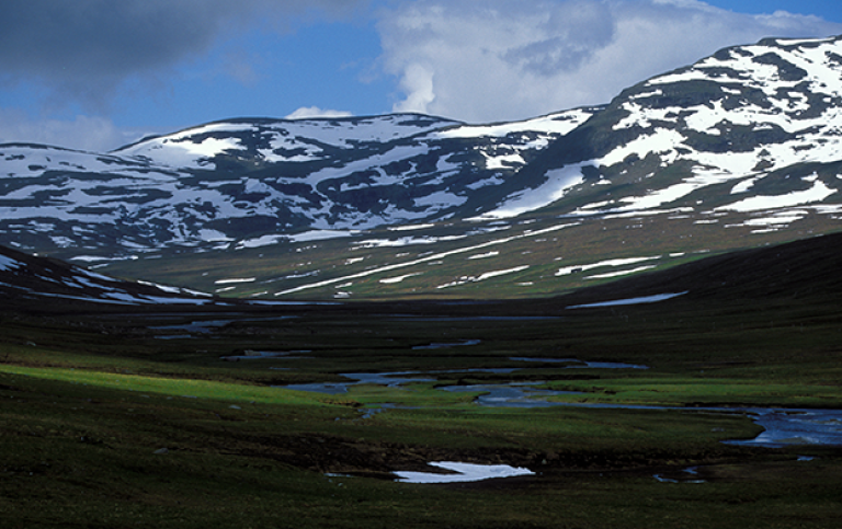 Bergskedja med snö