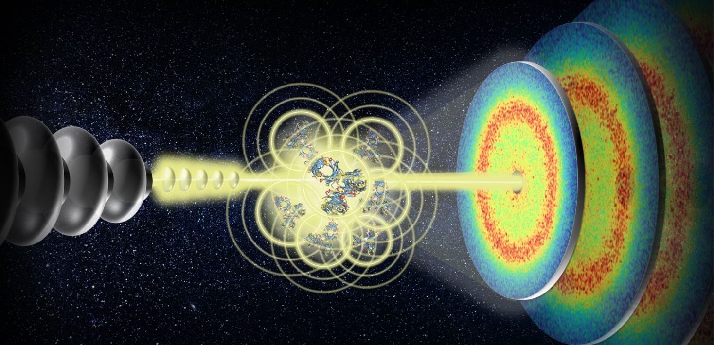 Artist’s impression of the MHz-XPCS technique being used to measure the dynamics of proteins in dens