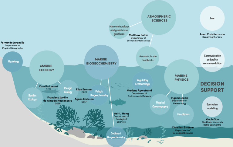 Baltic Sea Fellows overiew. Illustration: Azote