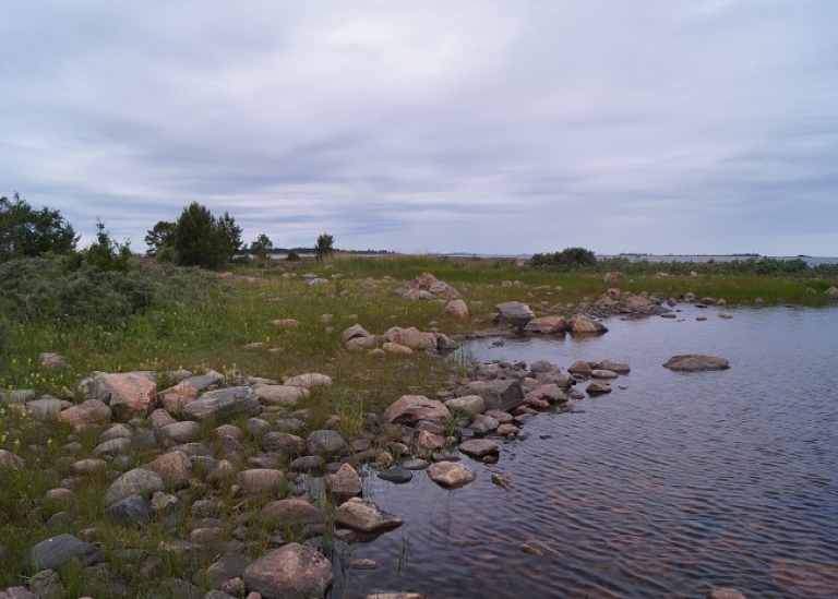 EKOLOGI Rödhäll, i norra Uppland, vid Östersjön Peter Hambäck pp