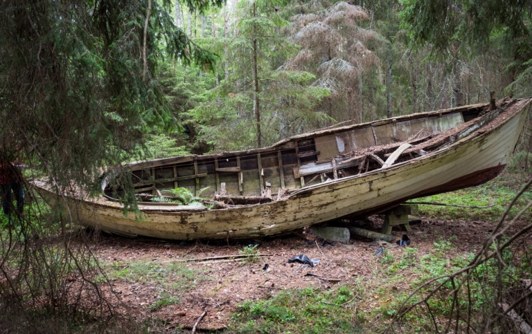 Vrak av fiskebåt i skogsdunge. 