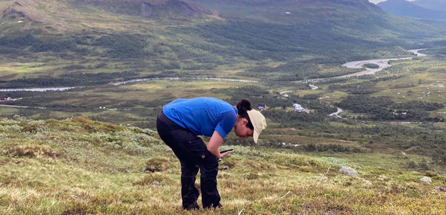 Ung forskare undersöker marken på en fjällhed.