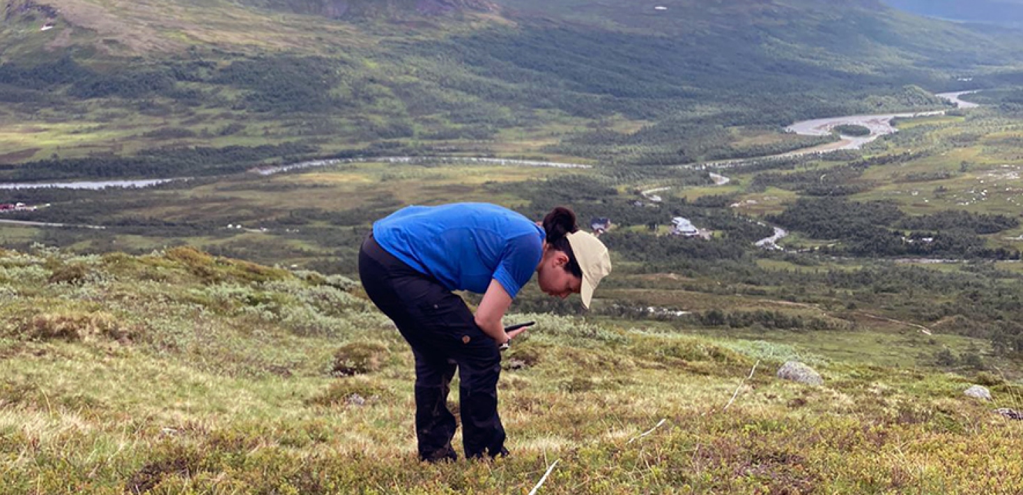 PhD student examines the ground on a mountain side
