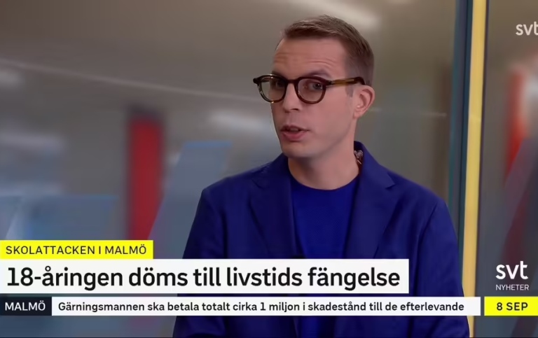 Skärmbild från SVT Nyheter med Dennis Martinsson