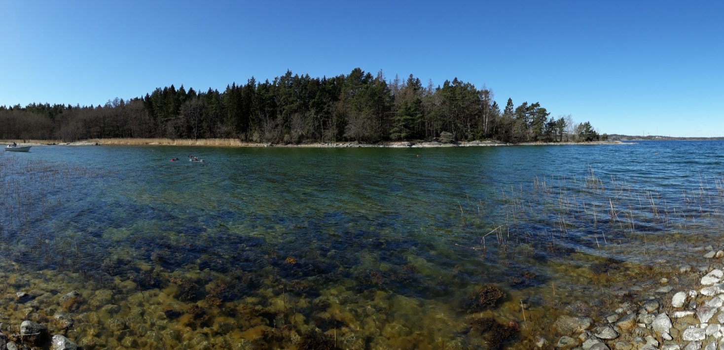 Panoramic image of one of the bays studied. Photo: Clare Bradshaw