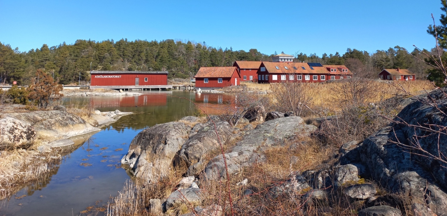 The field station The Askö laboratory was the base for India's field work. Photo: India Findji