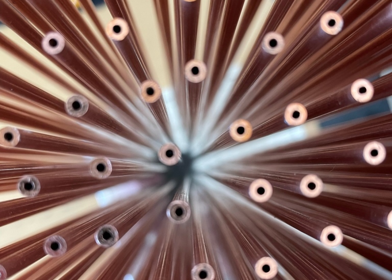 Top-down view of thin copper rods
