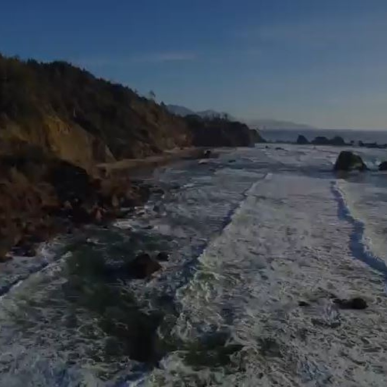 Bild på en sandstrand vid havet