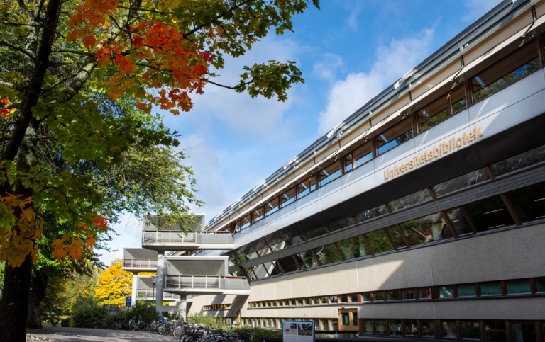 Karusell- höstbild på biblioteket