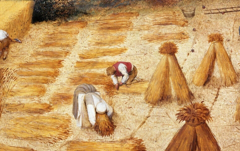 The Harvesters