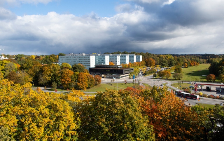 Frescati in autumn colours