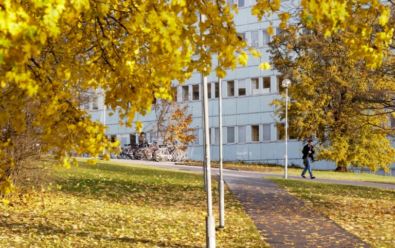 A person walking in front of Södra huset on a sunny autmn day