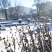 Foto: Ingmarie Andersson