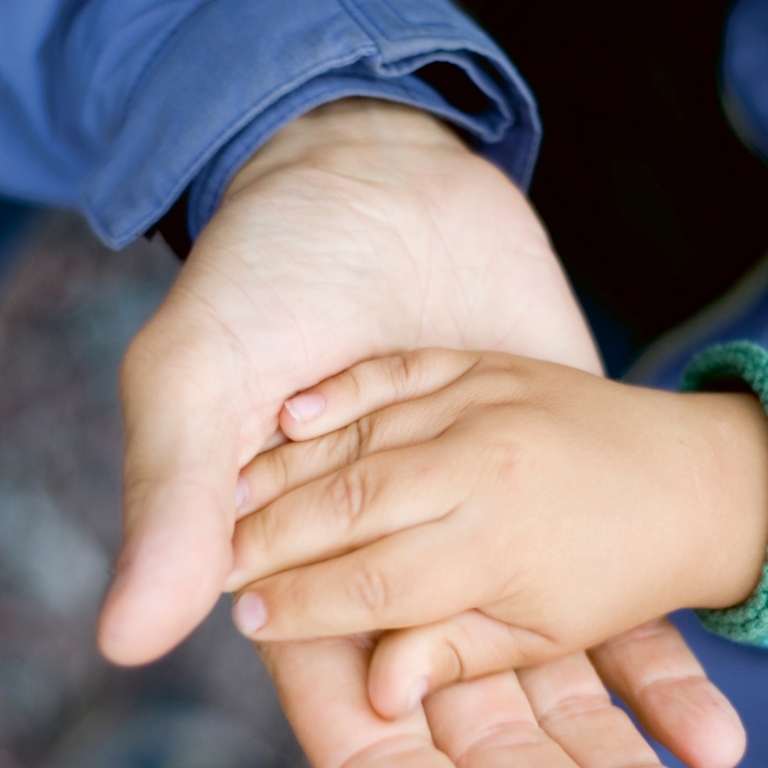 A grown up hand is holding a childs hand.