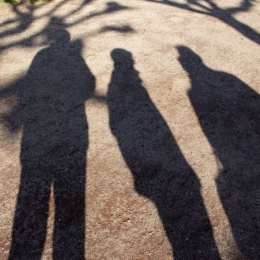 Group of shadows showing on the ground during sunset.