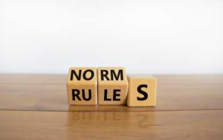 Normer och normativitet