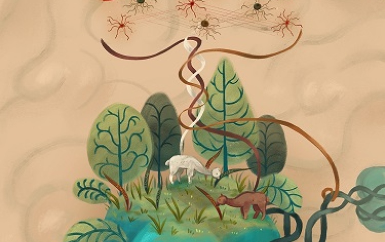 Simultaneous mapping of several different epigenetic landmarks in a single cell
