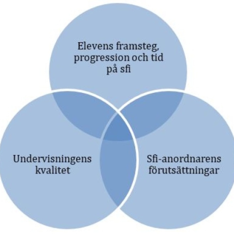 Elevens framsteg, progression och tid på sfi, undervisningens kvalitet, sfi-anordnarens förutsättnin