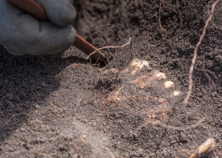  Archaeological excavation at Sandby Borg. Photo: Daniel Lindskog