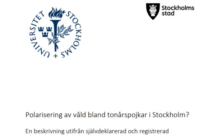 Bild på framsidan till Fredrik Sivertssons rapport