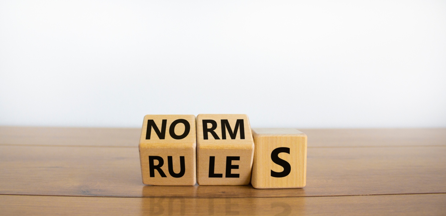 Normer och normativitet