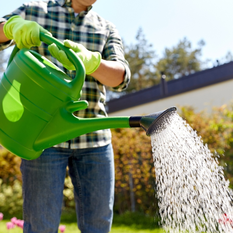 Någon vattnar med en grön vattenkanna i plast