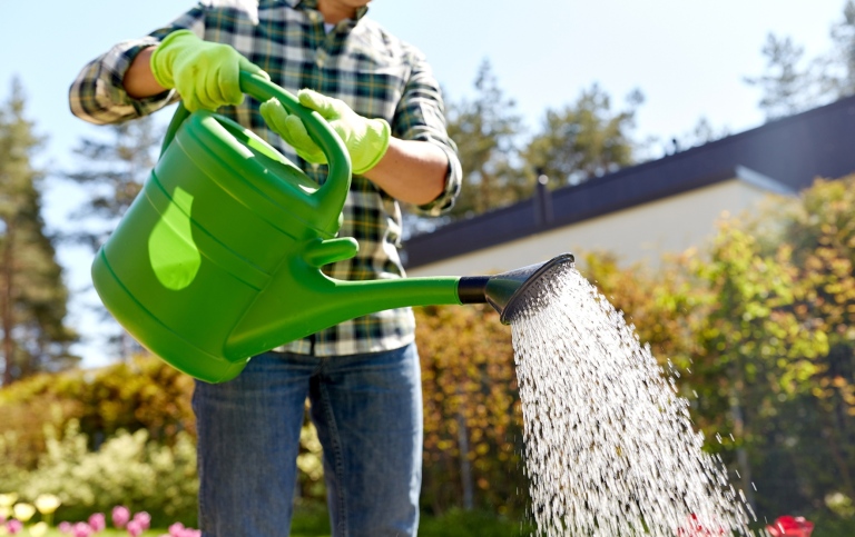 Någon vattnar med en grön vattenkanna i plast