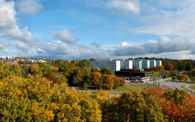 Foto: Ingmarie Andersson