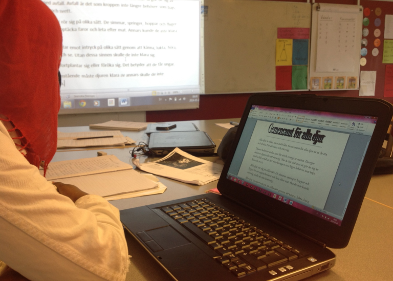 En elev ser på projektorduken som visar en modellext och skriver av i datorn.