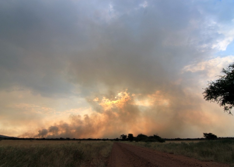 Fire at the Savannah