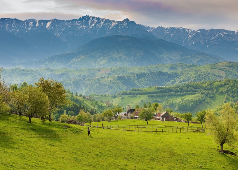 Farm on Mountain, Romania.