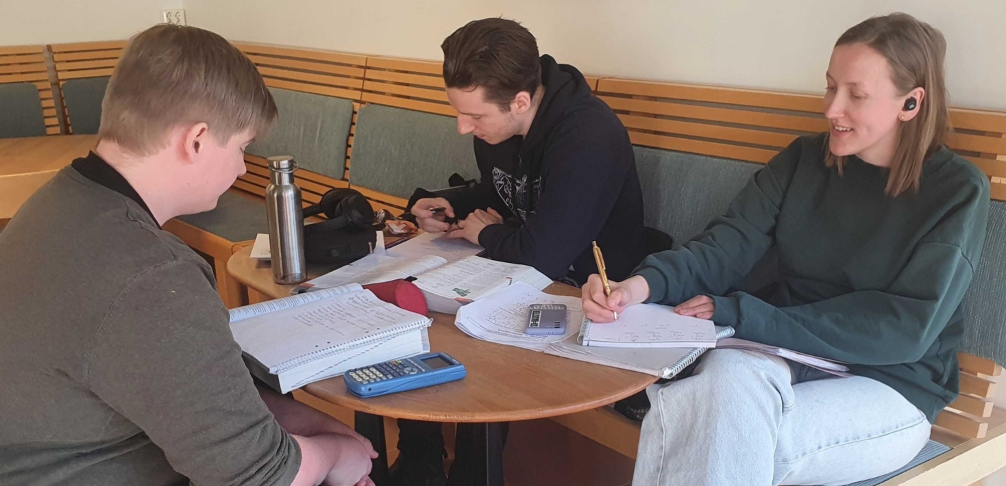 Studenter som pluggar
