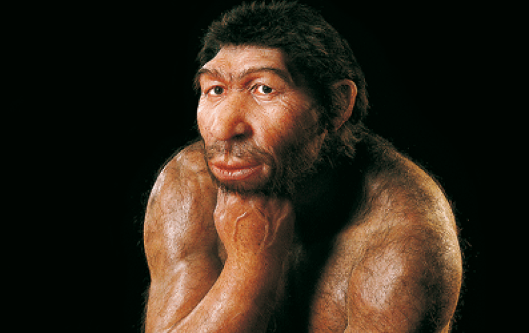 Reconstruction of a Homo neanderthalensis.